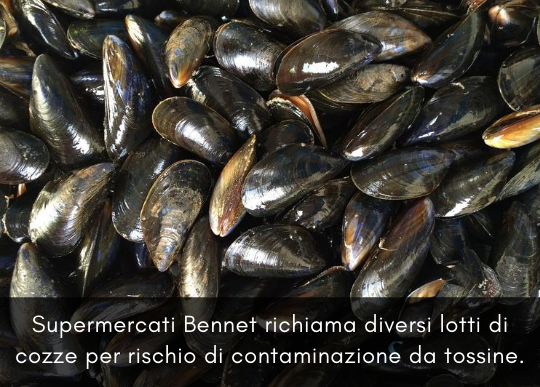 richiamo cozze.png